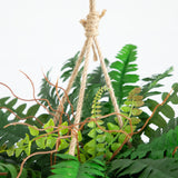 22" Artificial Large Boston Fern Hanging Basket"-Parc Decor