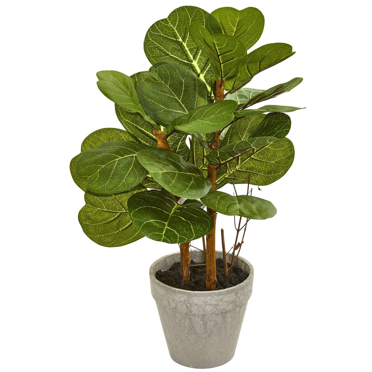 22” Fiddle Leaf Artificial Plant-Parc Decor