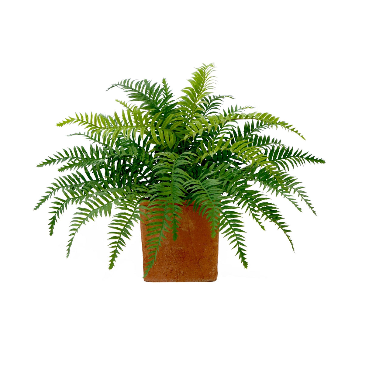 22” Artificial Fern Plant in Decorative Planter-Plant in Planter-Parc Decor