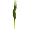 22” Tulip Artificial Flower (Set of 8)-Stem-Parc Decor