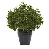 23” Peperomia Plant UV Resistant (Indoor/Outdoor)-Parc Decor