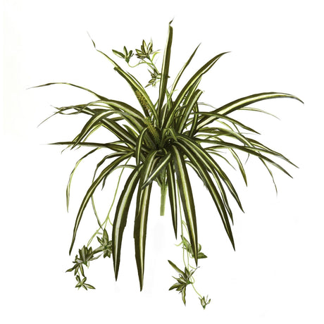 23” Spider Plant Bush (Set of 4)-Parc Decor