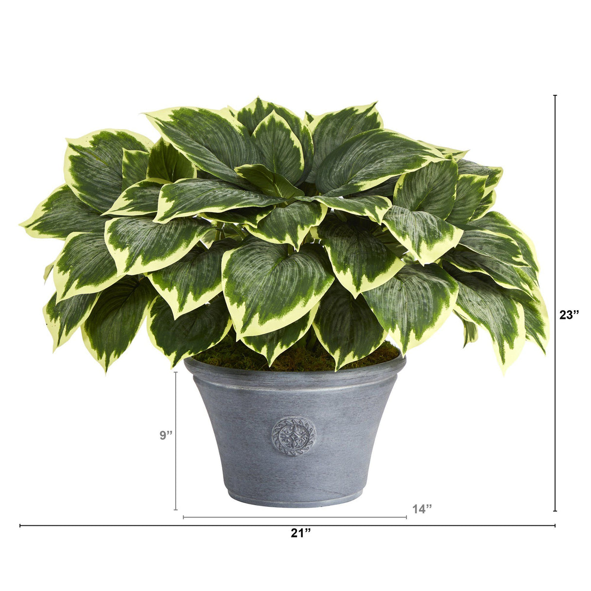 23” Variegated Hosta Artificial Plant in Gray Planter-Parc Decor