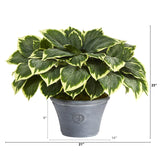 23” Variegated Hosta Artificial Plant in Gray Planter-Parc Decor