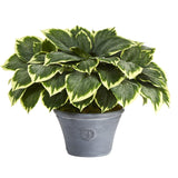 23” Variegated Hosta Artificial Plant in Gray Planter-Parc Decor