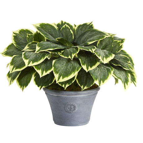 23” Variegated Hosta Artificial Plant in Gray Planter-Parc Decor