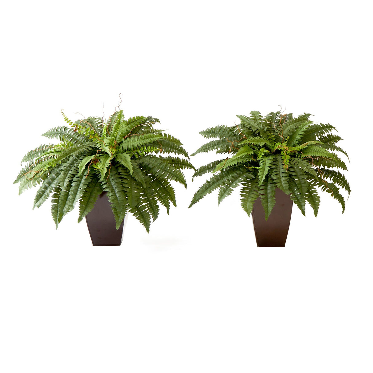 23” Artificial Boston Fern Plant with Tapered Bronze Square Metal Planter DIY KIT - Set of 2-Plant in Planter-Parc Decor