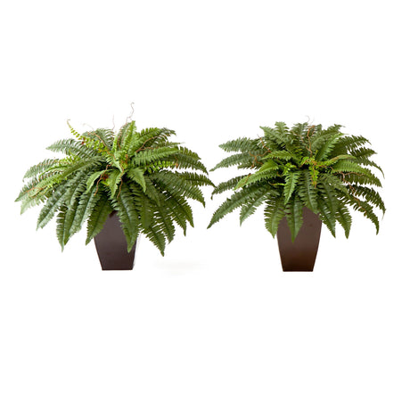 23” Artificial Boston Fern Plant with Tapered Bronze Square Metal Planter DIY KIT - Set of 2-Plant in Planter-Parc Decor
