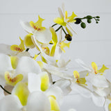 23” Artificial Phalaenopsis Orchid Arrangement in White Ceramic Planter (Real Touch)-Arrangement-Parc Decor