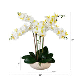 23” Artificial Phalaenopsis Orchid Arrangement in White Ceramic Planter (Real Touch)-Arrangement-Parc Decor