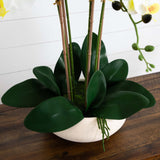 23” Artificial Phalaenopsis Orchid Arrangement in White Ceramic Planter (Real Touch)-Arrangement-Parc Decor
