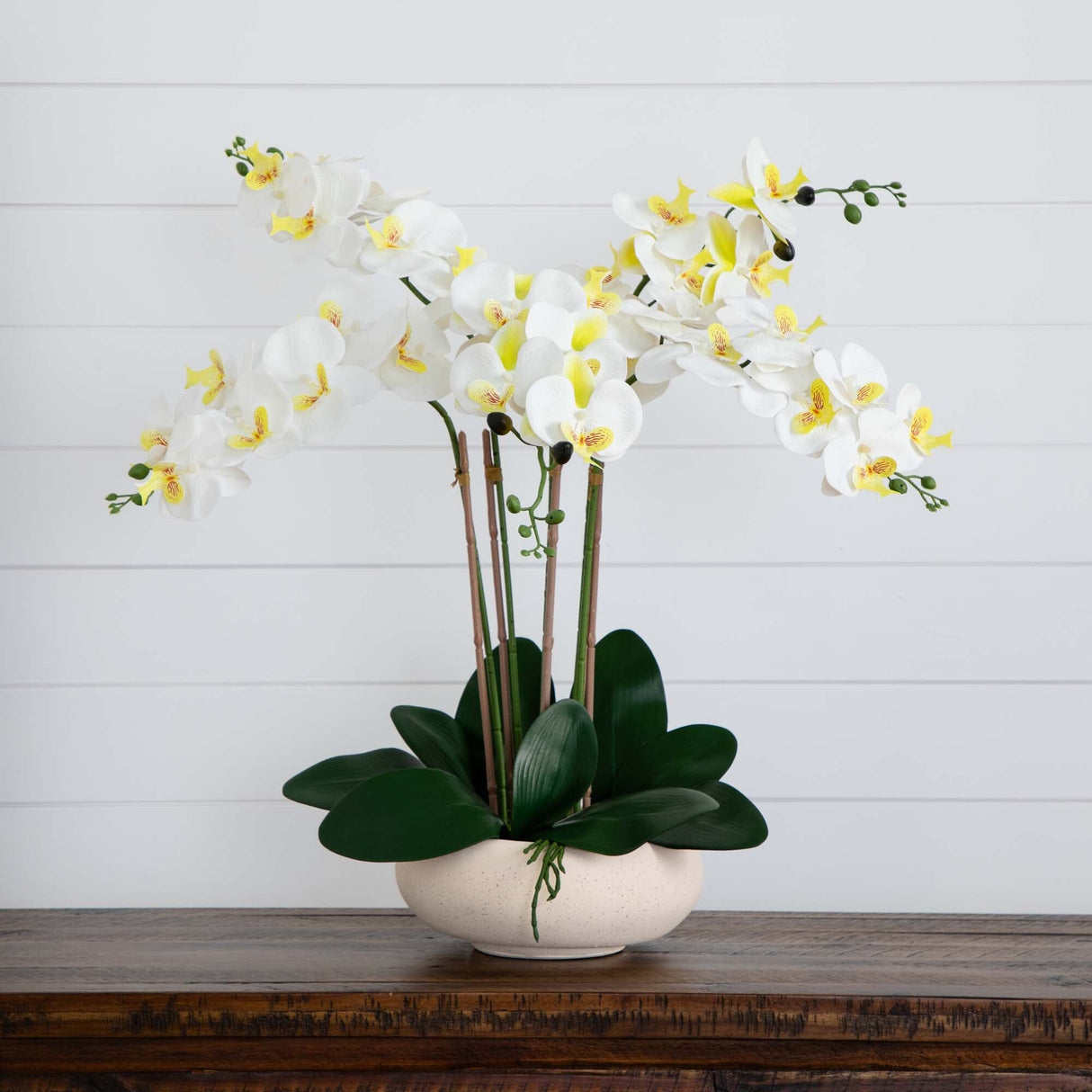 23” Artificial Phalaenopsis Orchid Arrangement in White Ceramic Planter (Real Touch)-Arrangement-Parc Decor
