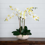 23” Artificial Phalaenopsis Orchid Arrangement in White Ceramic Planter (Real Touch)-Arrangement-Parc Decor