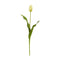 23” Dutch Tulip Artificial Flower (Set of 12)-Stem-Parc Decor