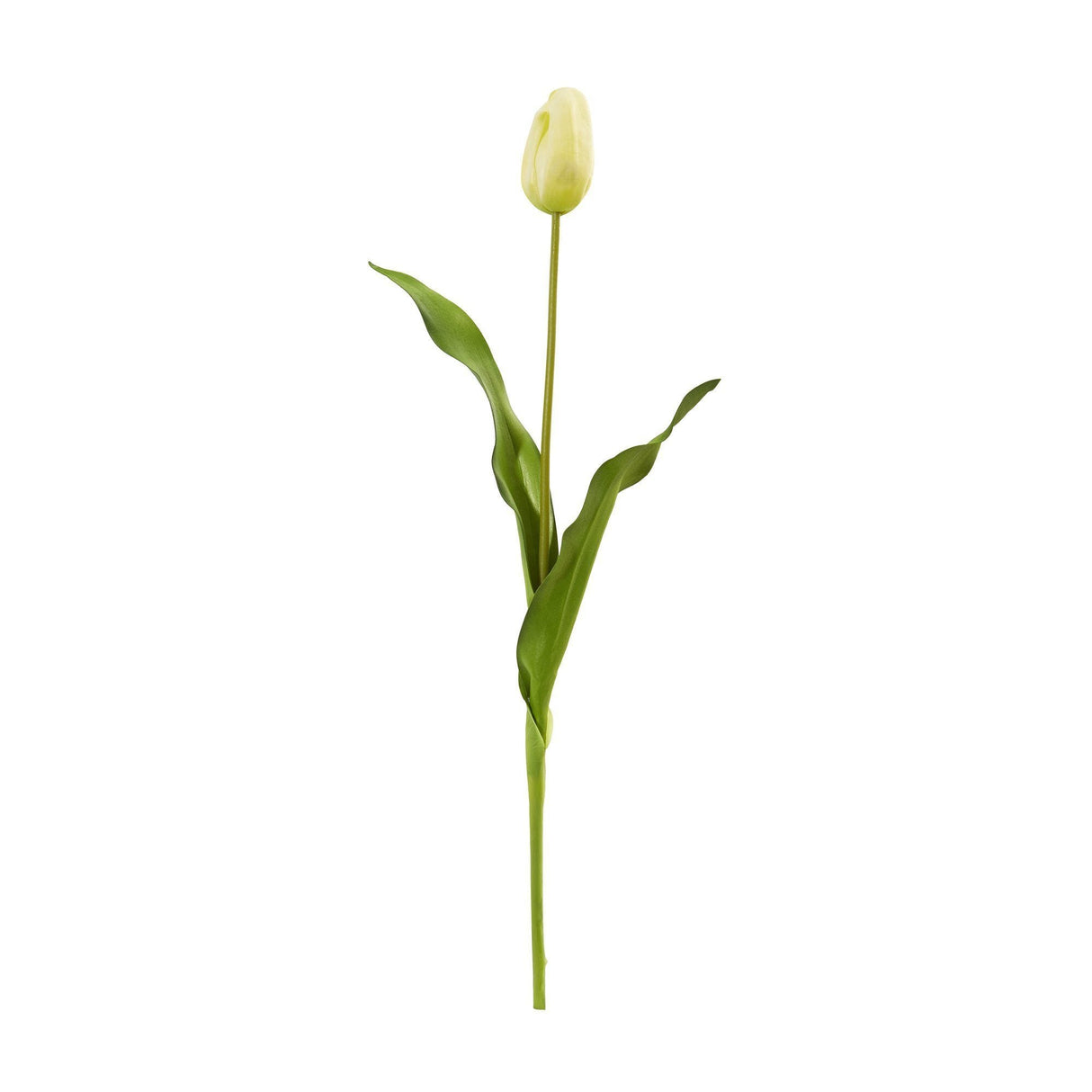 23” Dutch Tulip Artificial Flower (Set of 12)-Stem-Parc Decor