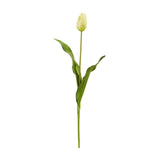23” Dutch Tulip Artificial Flower (Set of 12)-Stem-Parc Decor