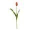 23” Dutch Tulip Artificial Flower (Set of 12)-Stem-Parc Decor