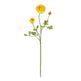 23" Ranunculus Stem (Set of 12)"-Stem-Parc Decor