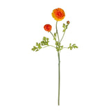 23" Ranunculus Stem (Set of 12)"-Stem-Parc Decor
