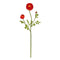 23" Ranunculus Stem (Set of 12)"-Stem-Parc Decor