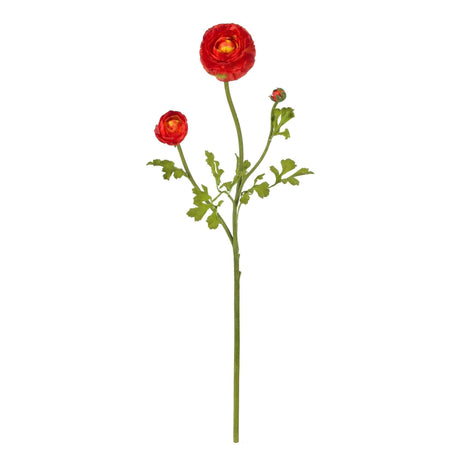 23" Ranunculus Stem (Set of 12)"-Stem-Parc Decor