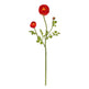 23" Ranunculus Stem (Set of 12)"-Stem-Parc Decor