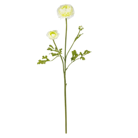 23" Ranunculus Stem (Set of 12)"-Stem-Parc Decor