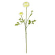 23" Ranunculus Stem (Set of 12)"-Stem-Parc Decor