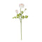 23" Ranunculus Stem (Set of 12)"-Stem-Parc Decor