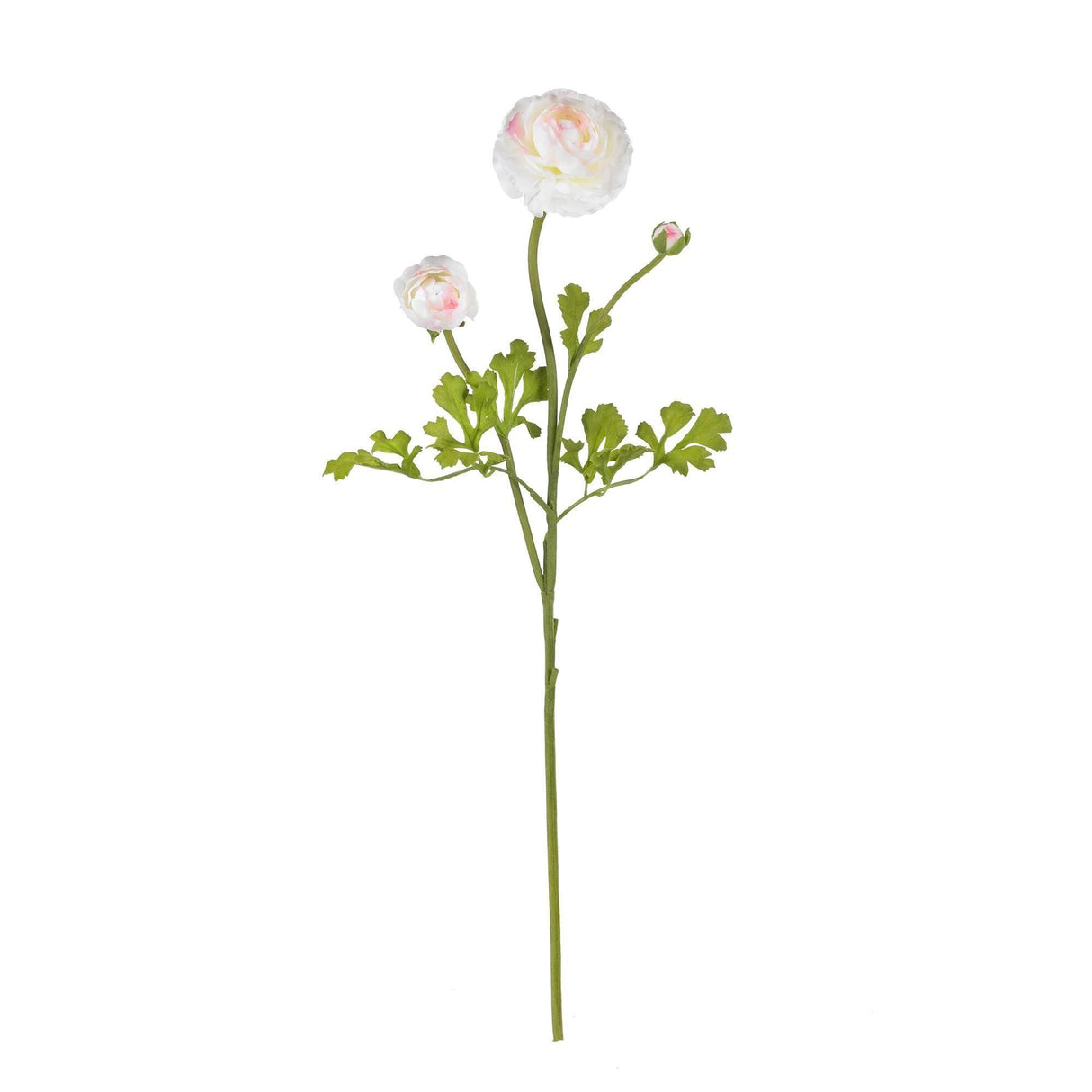 23" Ranunculus Stem (Set of 12)"-Stem-Parc Decor