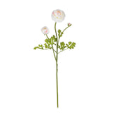 23" Ranunculus Stem (Set of 12)"-Stem-Parc Decor
