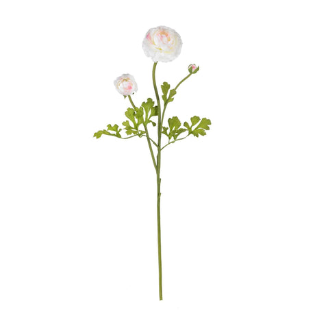 23" Ranunculus Stem (Set of 12)"-Stem-Parc Decor