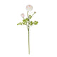 23" Ranunculus Stem (Set of 12)"-Stem-Parc Decor