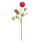 23" Ranunculus Stem (Set of 12)"-Stem-Parc Decor