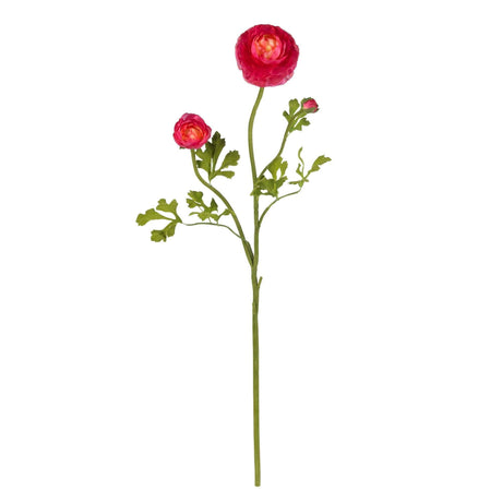 23" Ranunculus Stem (Set of 12)"-Stem-Parc Decor