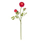 23" Ranunculus Stem (Set of 12)"-Stem-Parc Decor