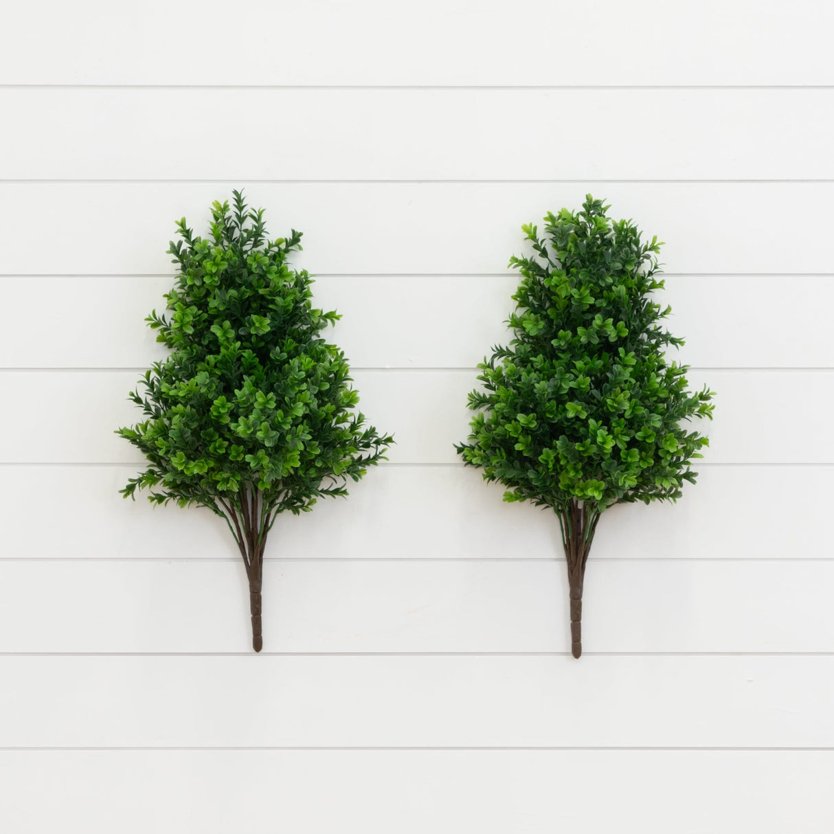 23” Sweet Grass Bush (Set of 2) (Indoor/Outdoor)-Bush-Parc Decor