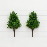 23” Sweet Grass Bush (Set of 2) (Indoor/Outdoor)-Bush-Parc Decor