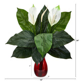 24” Spathifyllum Artificial Plant in Ruby Planter-Parc Decor