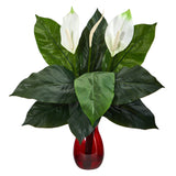 24” Spathifyllum Artificial Plant in Ruby Planter-Parc Decor