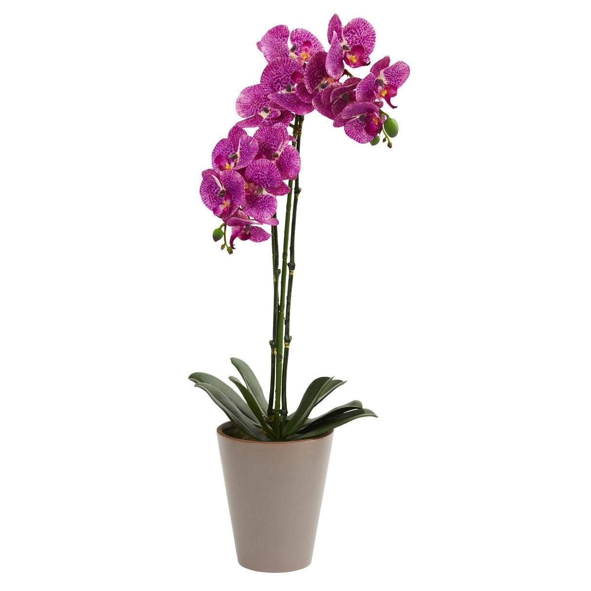 24” Speckled Phalaenopsis Orchid Artificial Arrangement-Parc Decor