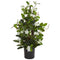 24” Stephanotis Artificial Climbing Plant-Parc Decor