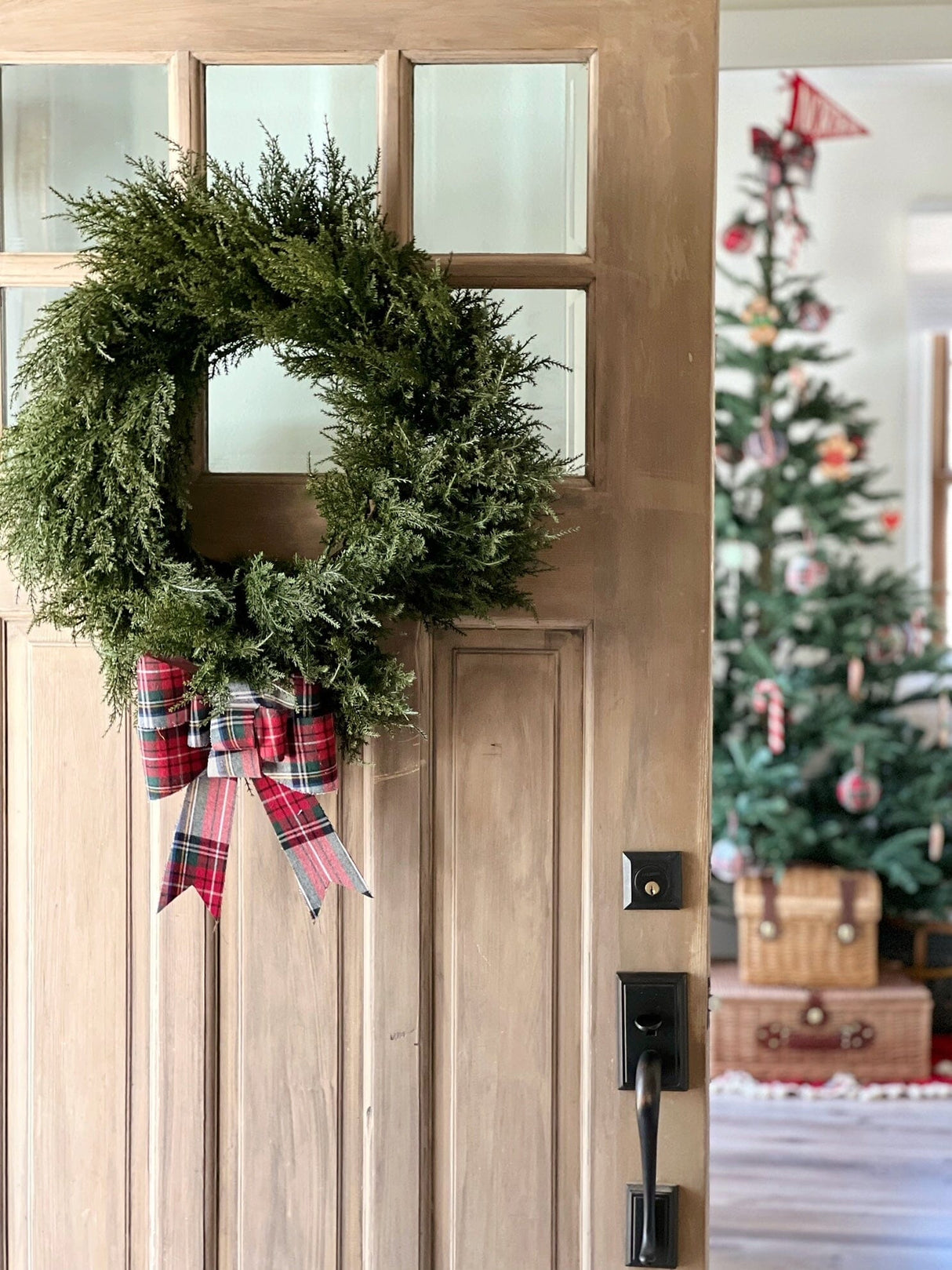 24” Cedar Wreath-Wreath-Parc Decor