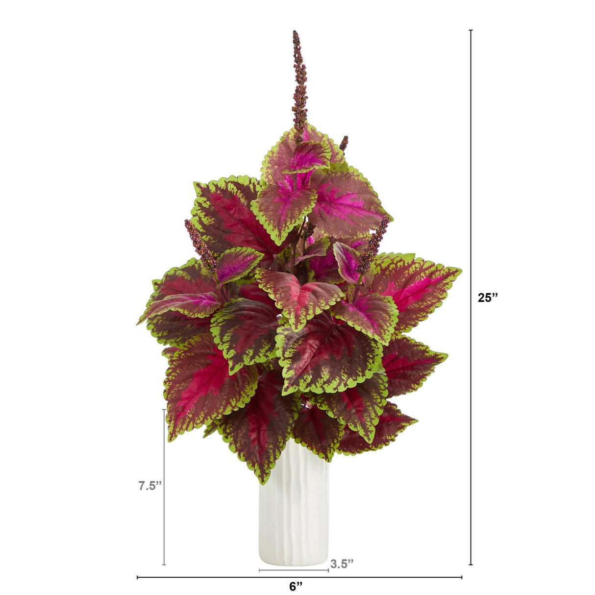 25” Coleus Artificial Plant Artificial Plant in White Planter-Parc Decor
