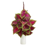 25” Coleus Artificial Plant Artificial Plant in White Planter-Parc Decor