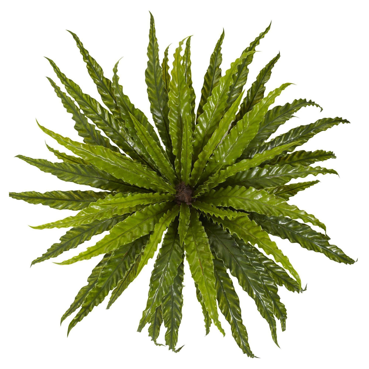 26” Asplenium Artificial Plant (Set of 2)-Parc Decor