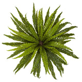 26” Asplenium Artificial Plant (Set of 2)-Parc Decor