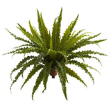 26” Asplenium Artificial Plant (Set of 2)-Parc Decor