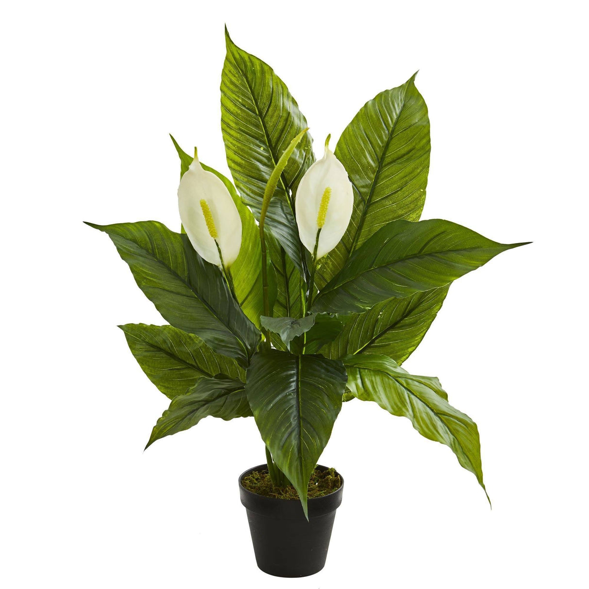 26” Spathiphyllum Artificial Plant (Real Touch)-Parc Decor