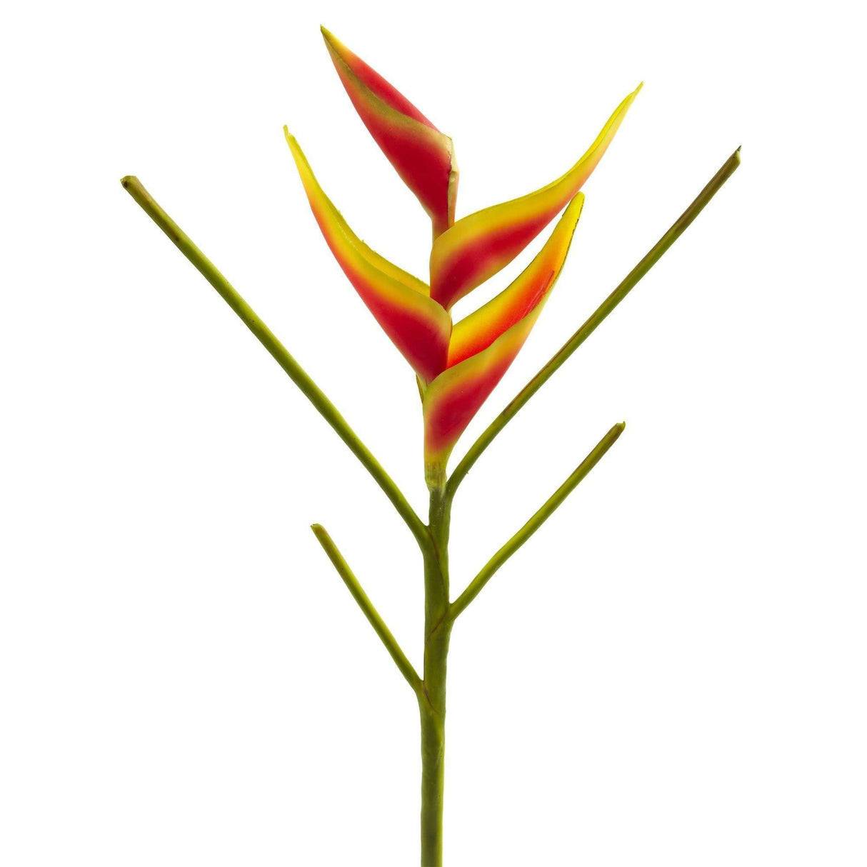 26’’ Heliconia Artificial Flower (Set of 4)-Stem-Parc Decor